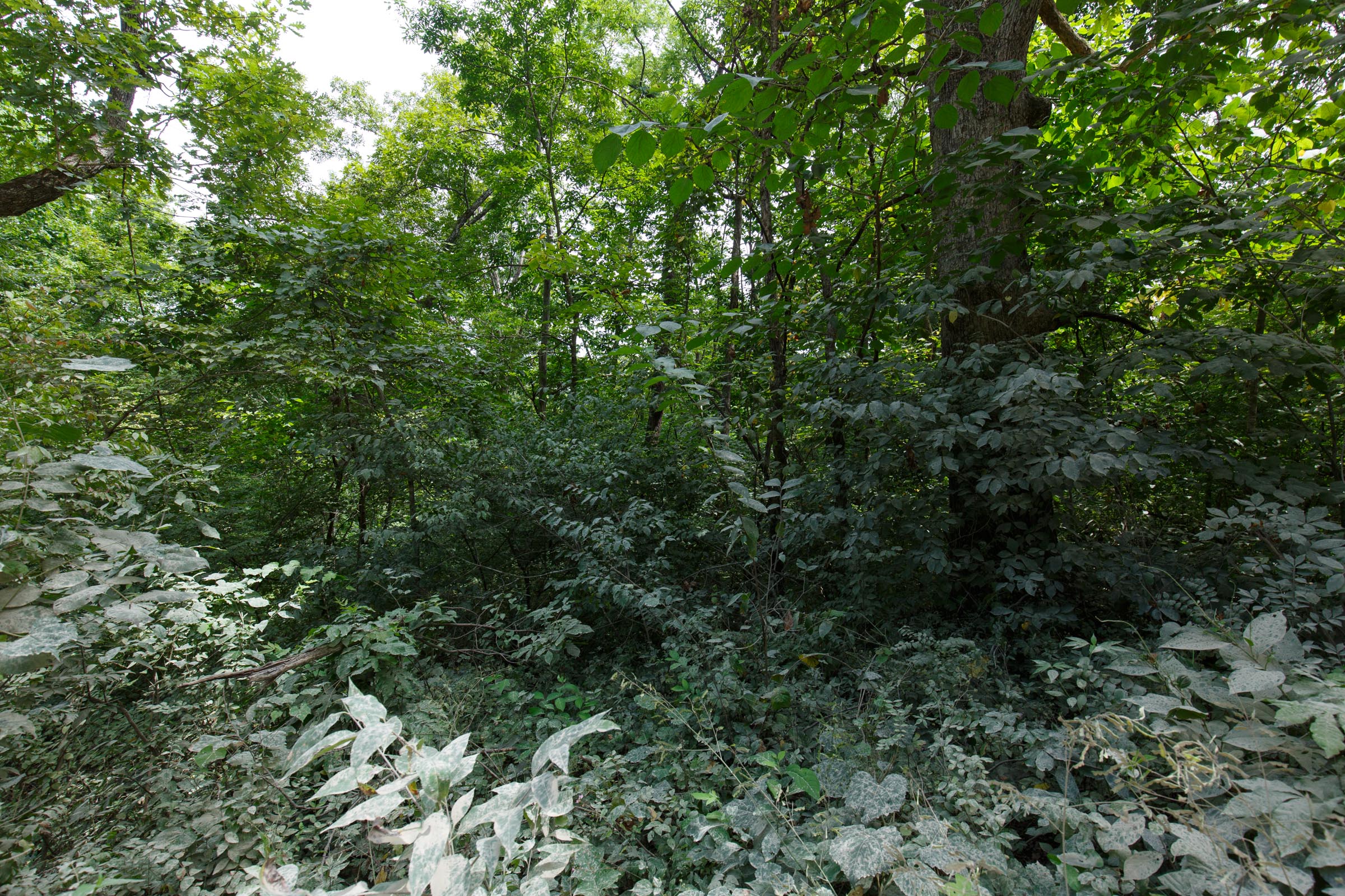 Tract 67 at Springlake in Miller County, Missouri