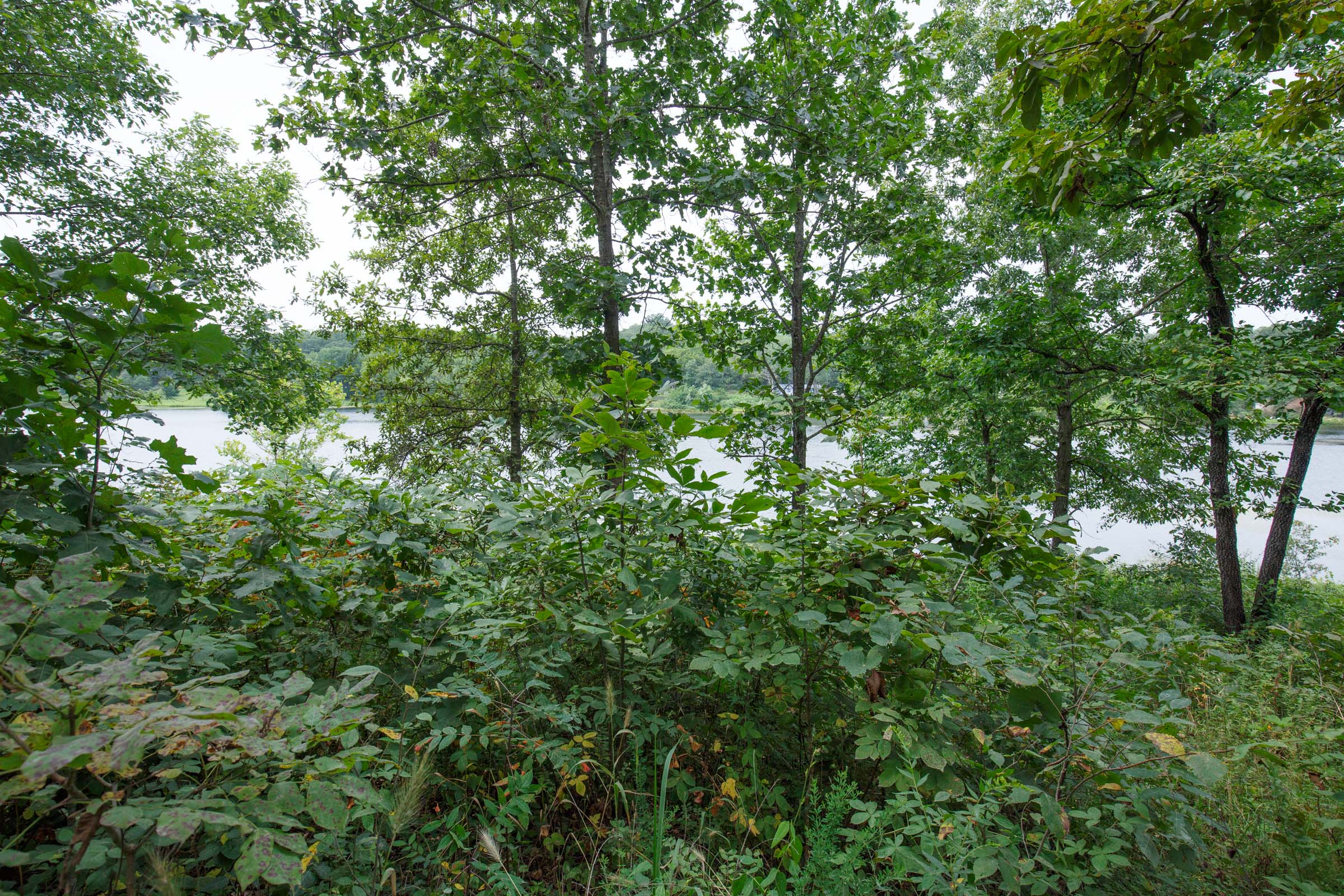 Tract 13 at Springlake in Miller County, Missouri