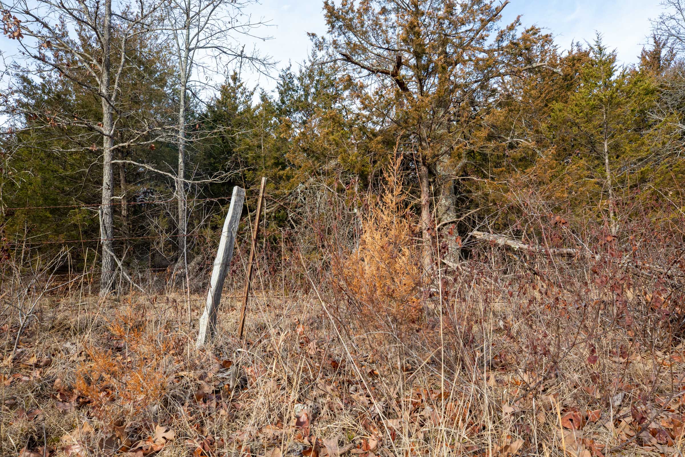 Tract 5 at Forest Hill in Texas County, Missouri