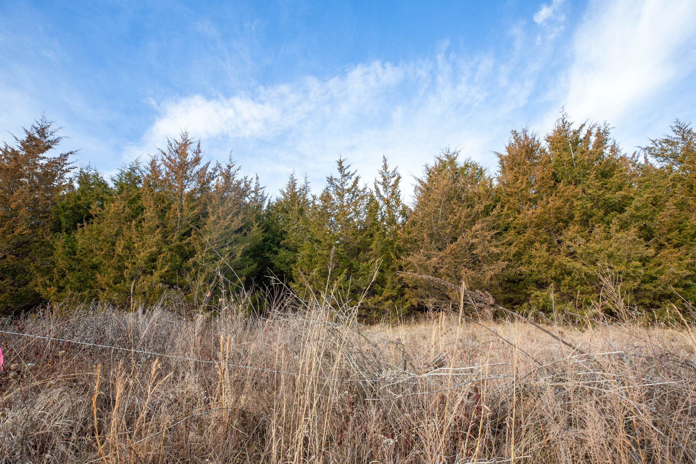 Tract 6 at Forest Hill in Texas County, Missouri