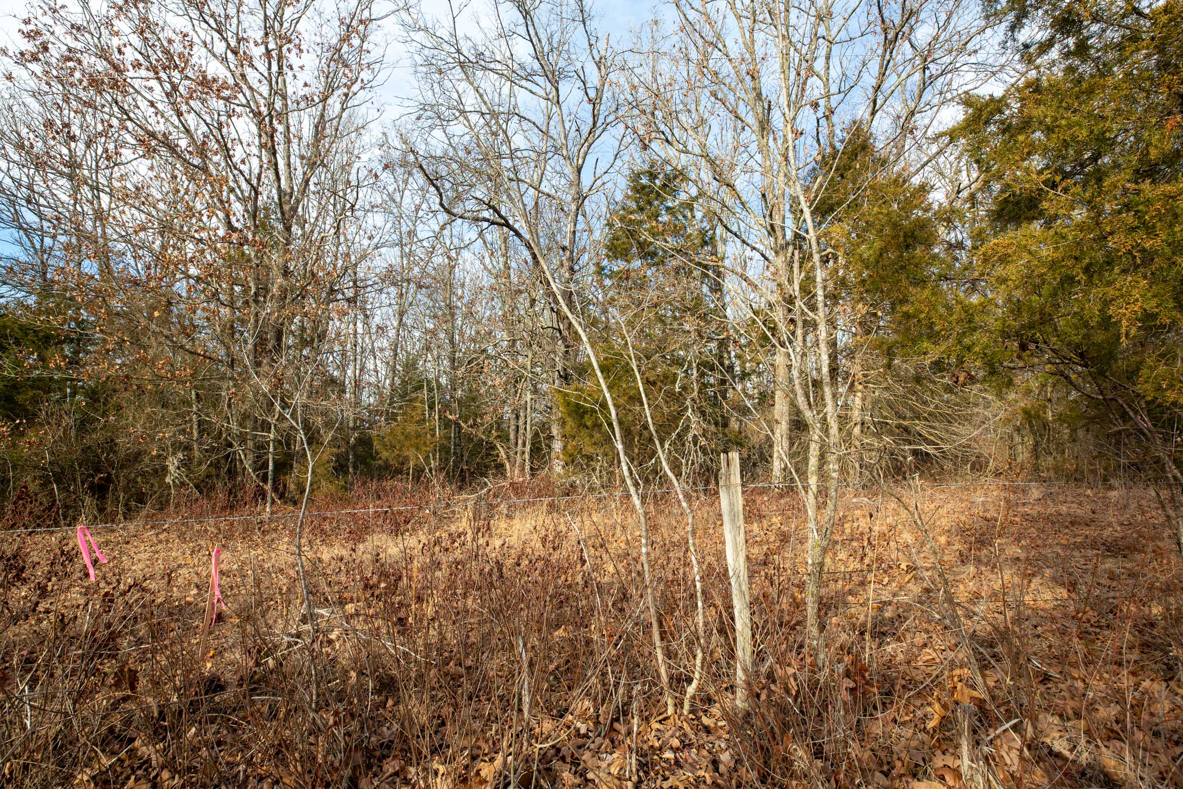 Tract 8 at Forest Hill in Texas County, Missouri